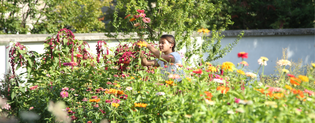 巴黎的都市花匠
